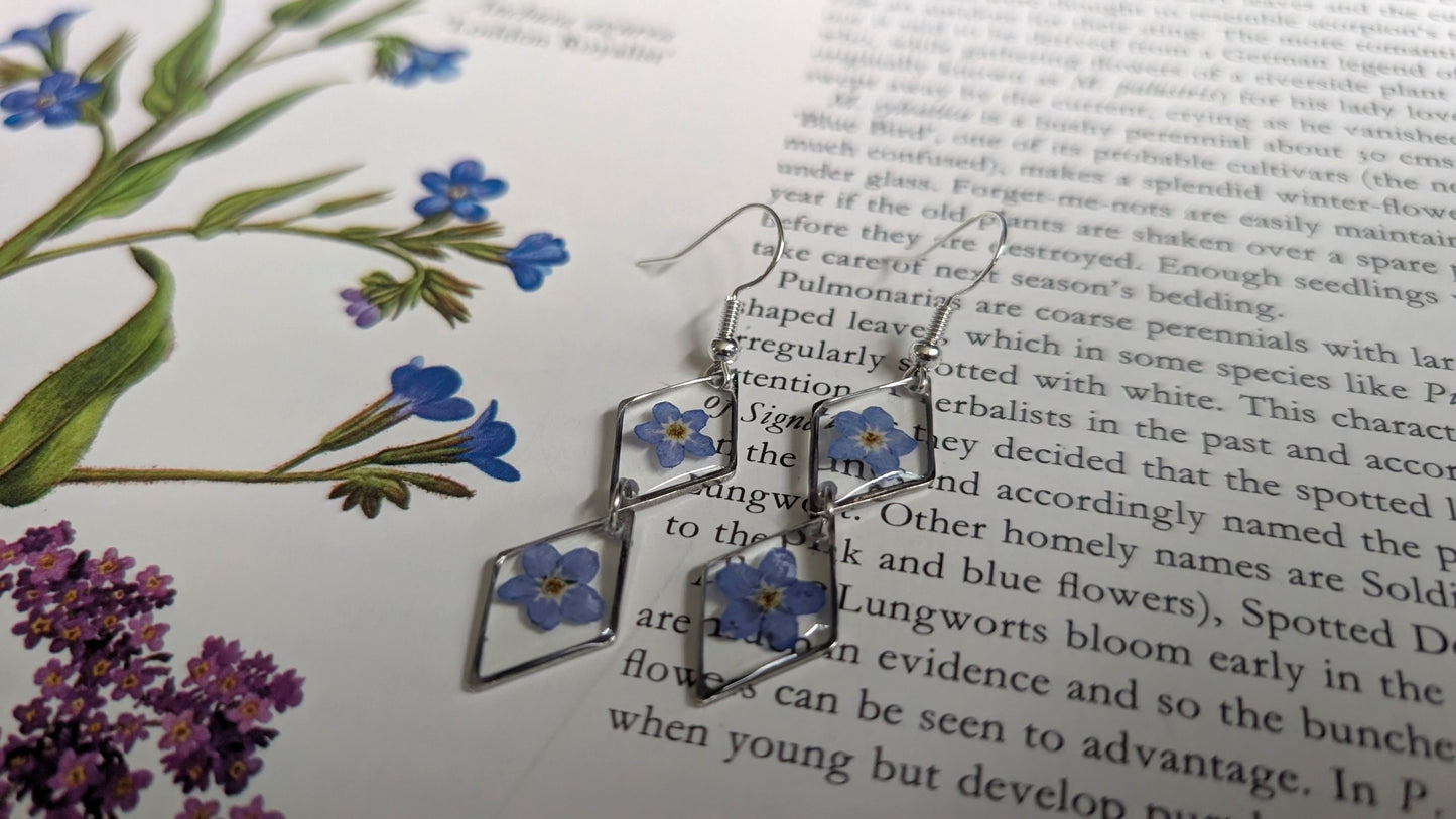 Real Forget-me-not Earrings (double)