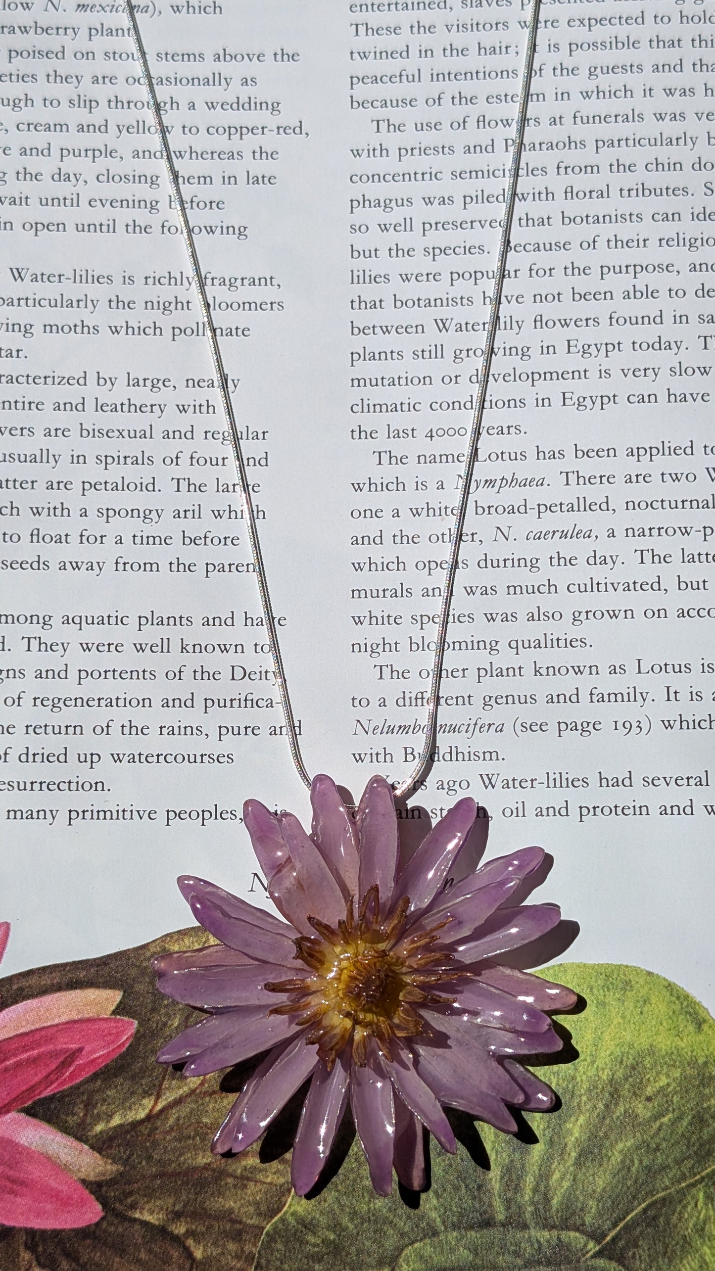 Real Lilac Waterlily Pendant