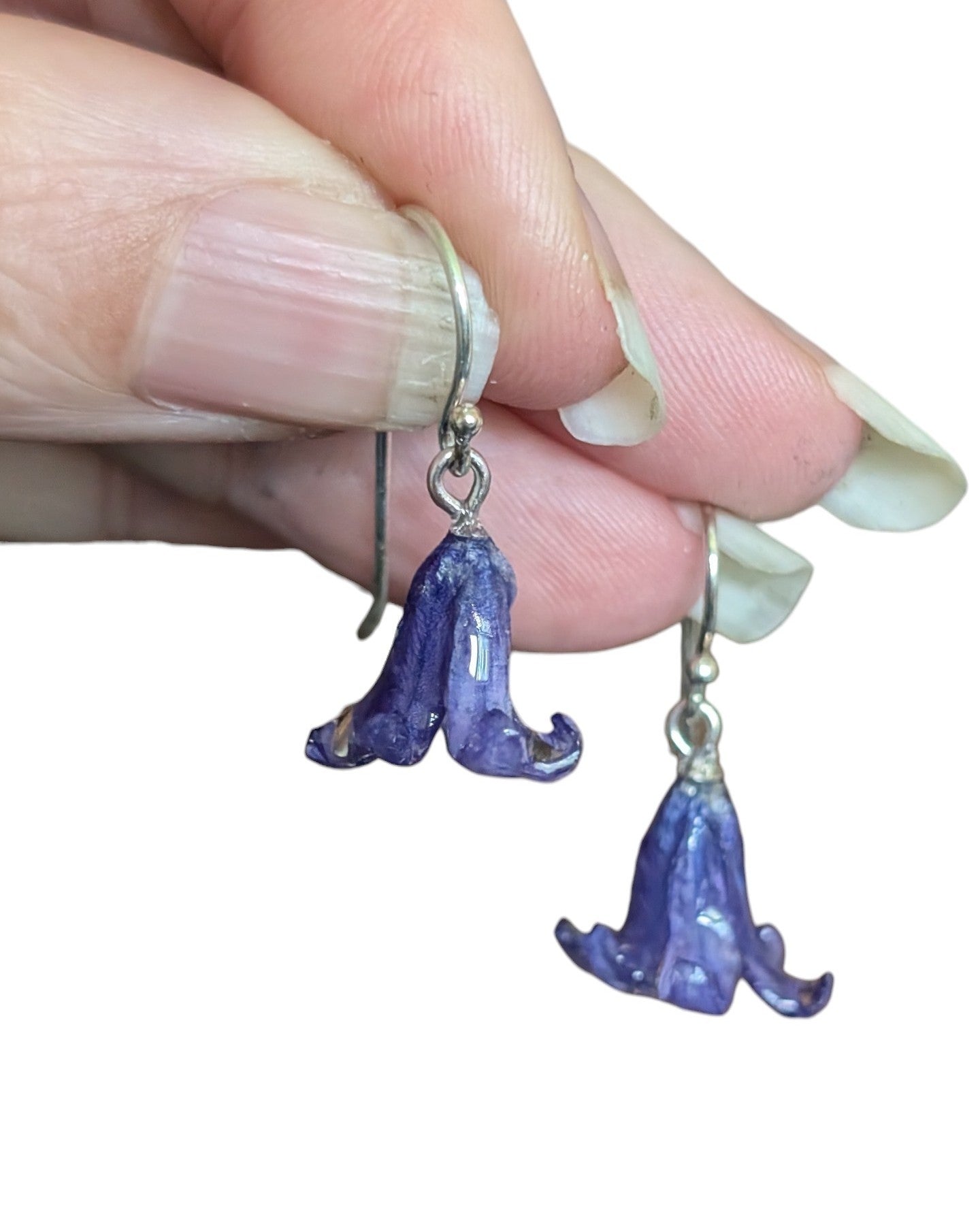 Real Bluebell Earrings