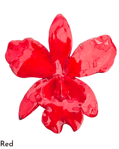 Real Cattleya Orchid Hairclip
