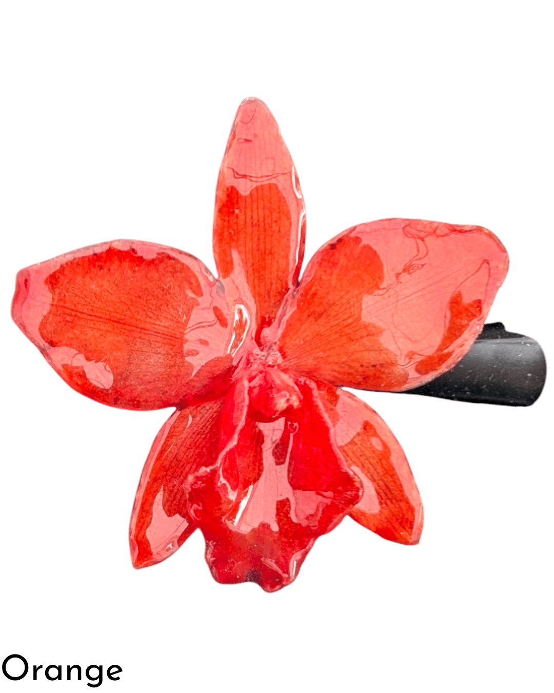 Real Cattleya Orchid Hairclip