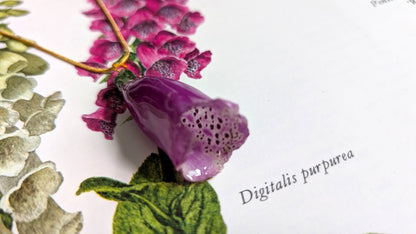 Real Foxglove Pendant