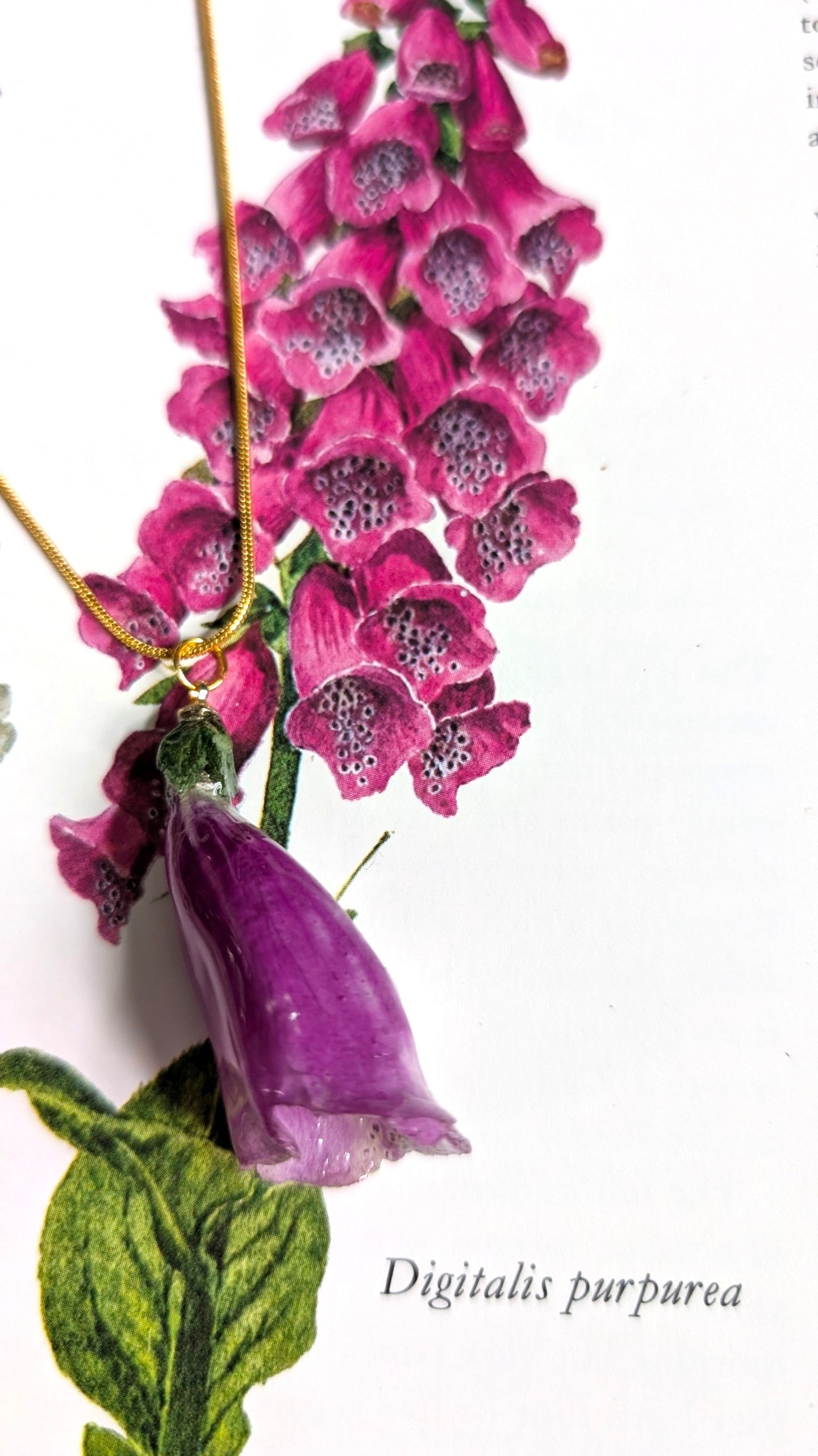 Real Foxglove Pendant