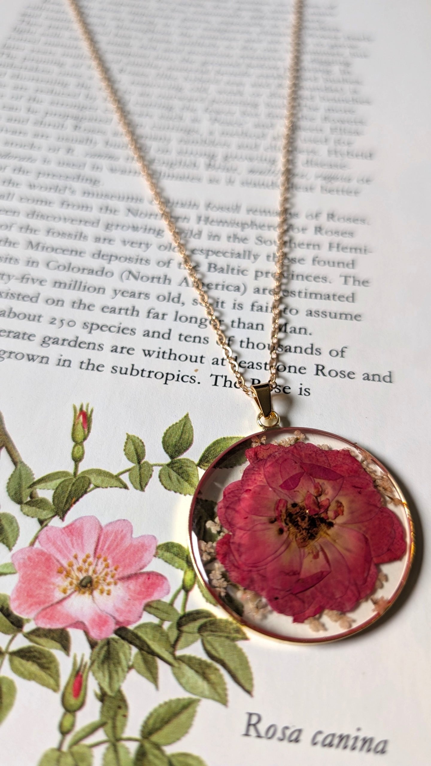 Real Rose Pressed Pendant