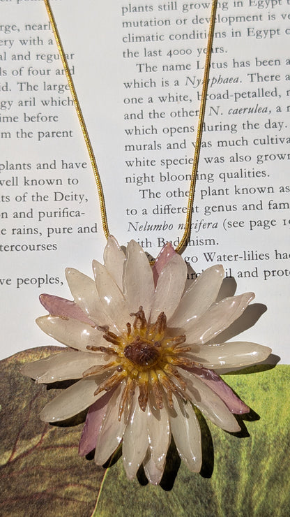 Real Pink Waterlily Pendant
