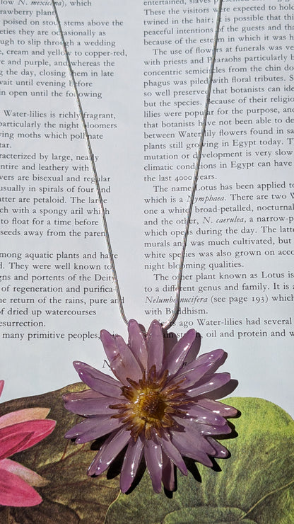 Real Lilac Waterlily Pendant