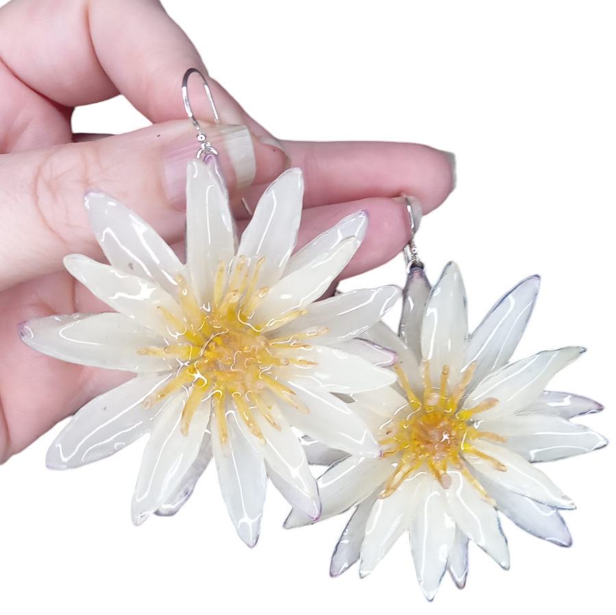 Real Cream Waterlily Earrings