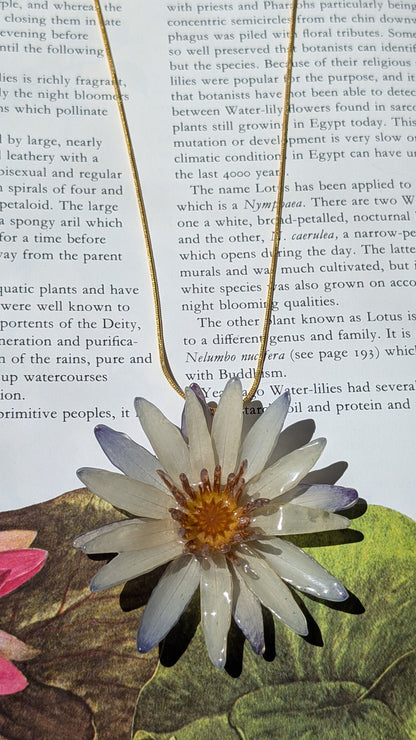 Real Blue Waterlily Pendant