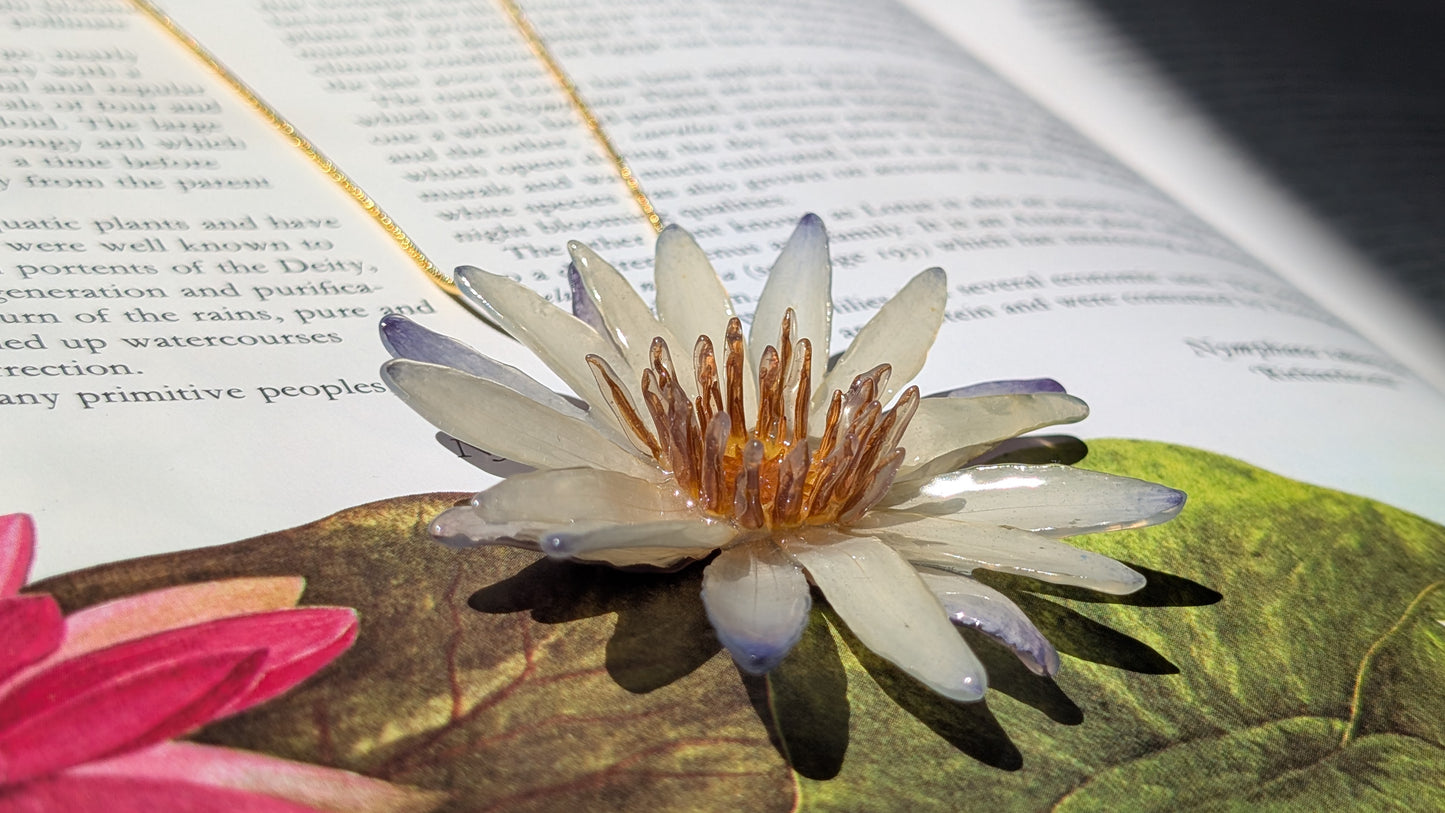 Real Blue Waterlily Pendant