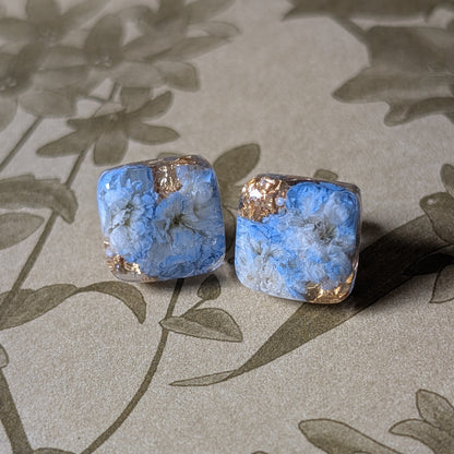 Real Gypsophila Stud Earrings