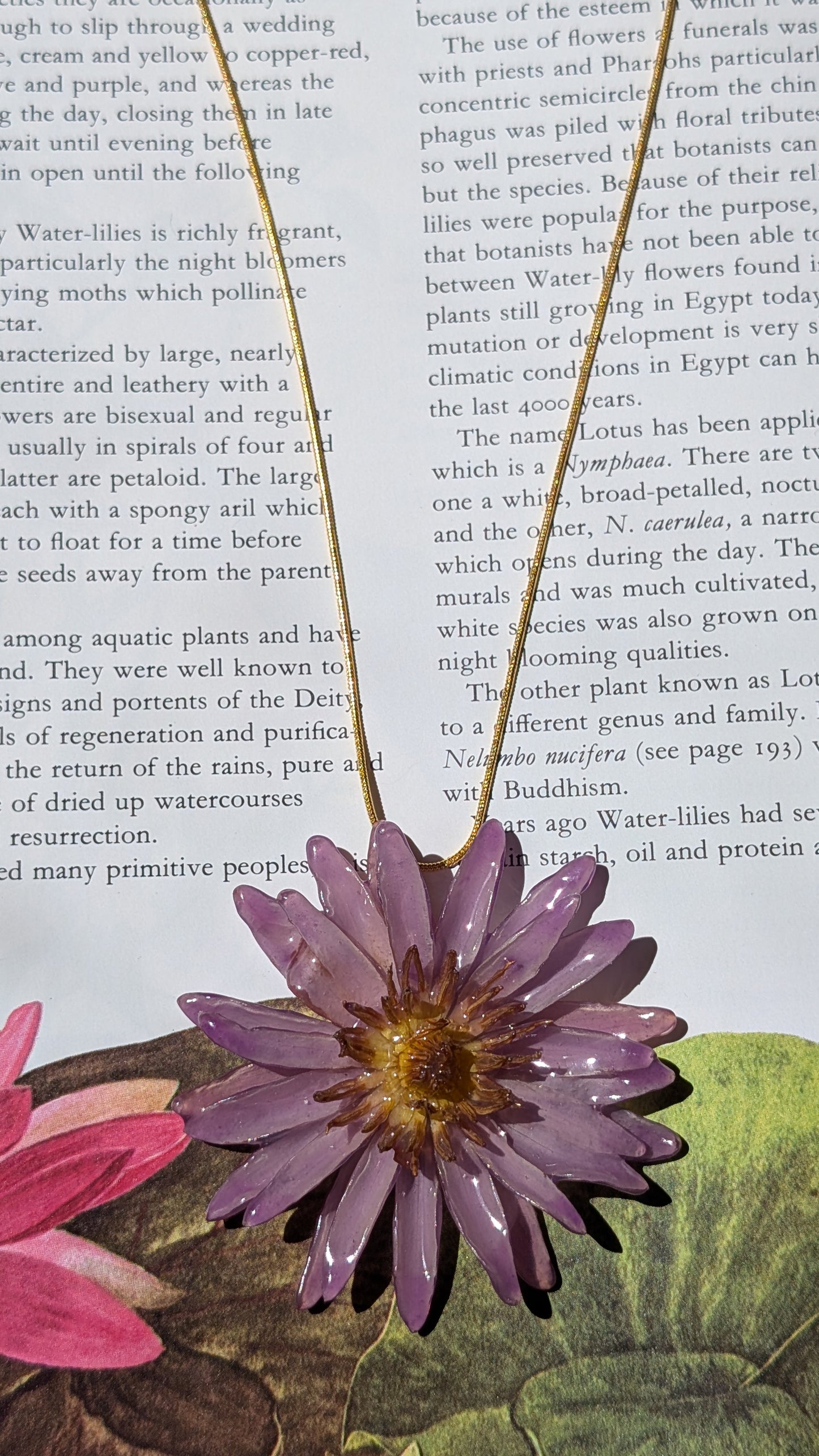 Real Lilac Waterlily Pendant