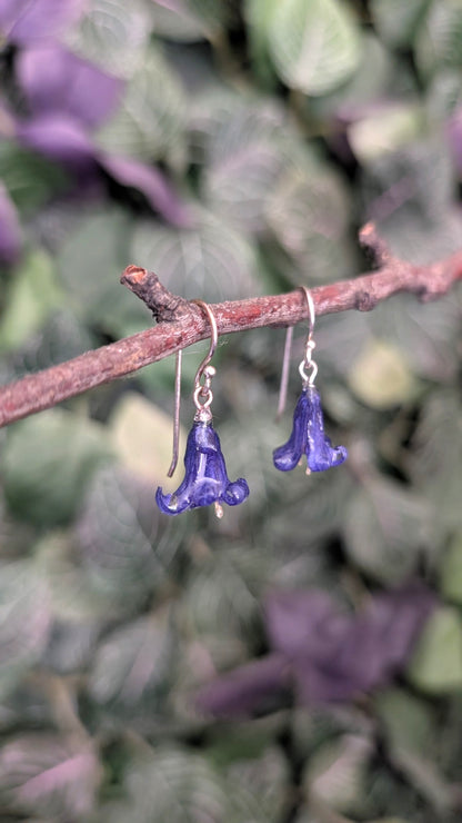 Real Bluebell Earrings