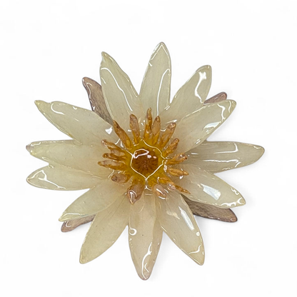 Real Cream Waterlily Brooch