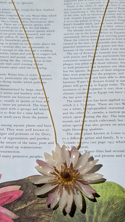 Real Pink Waterlily Pendant