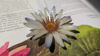 Real Blue Waterlily Pendant