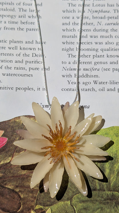 Real Cream Waterlily Pendant