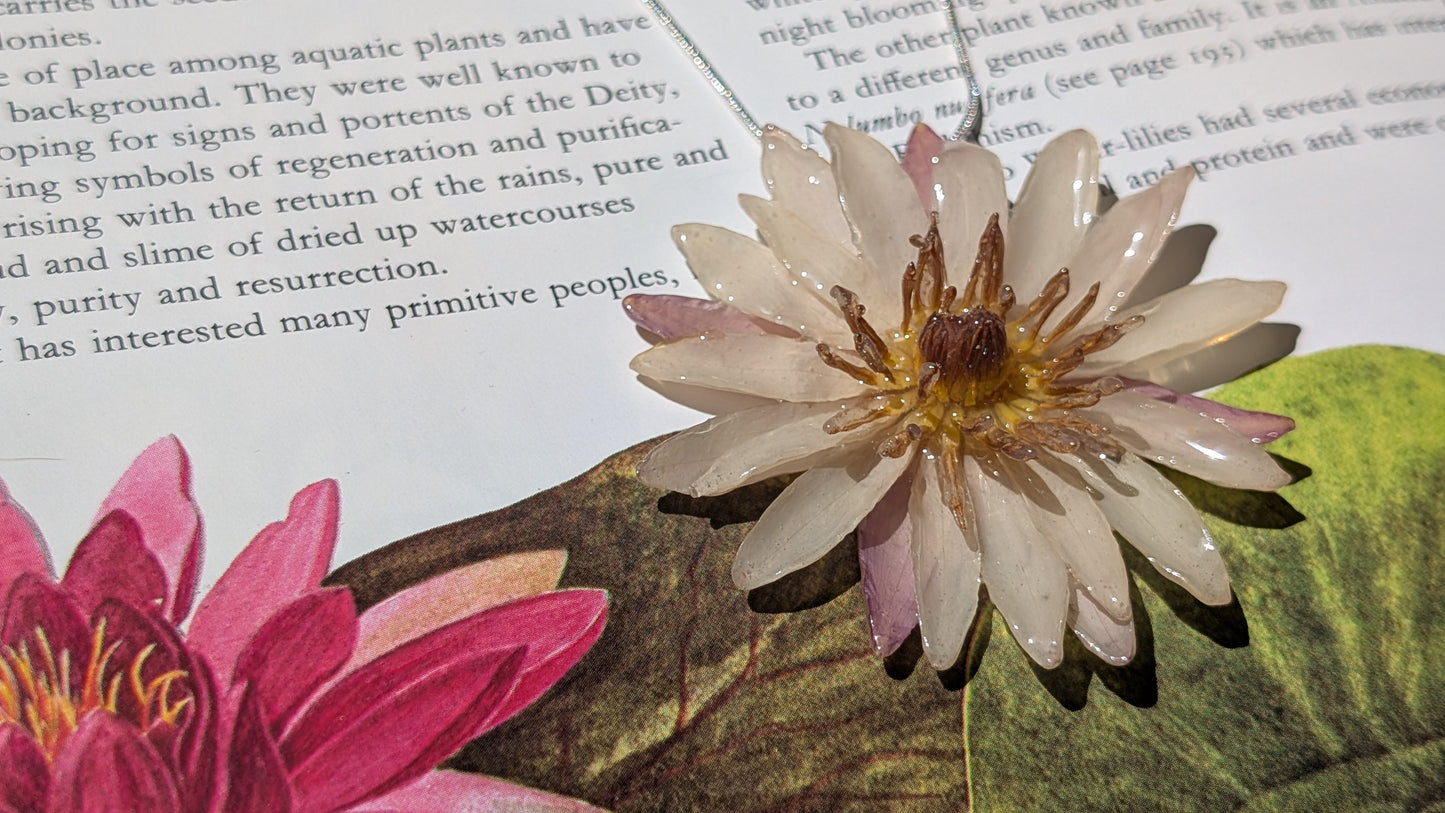 Real Pink Waterlily Pendant