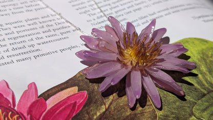 Real Lilac Waterlily Pendant