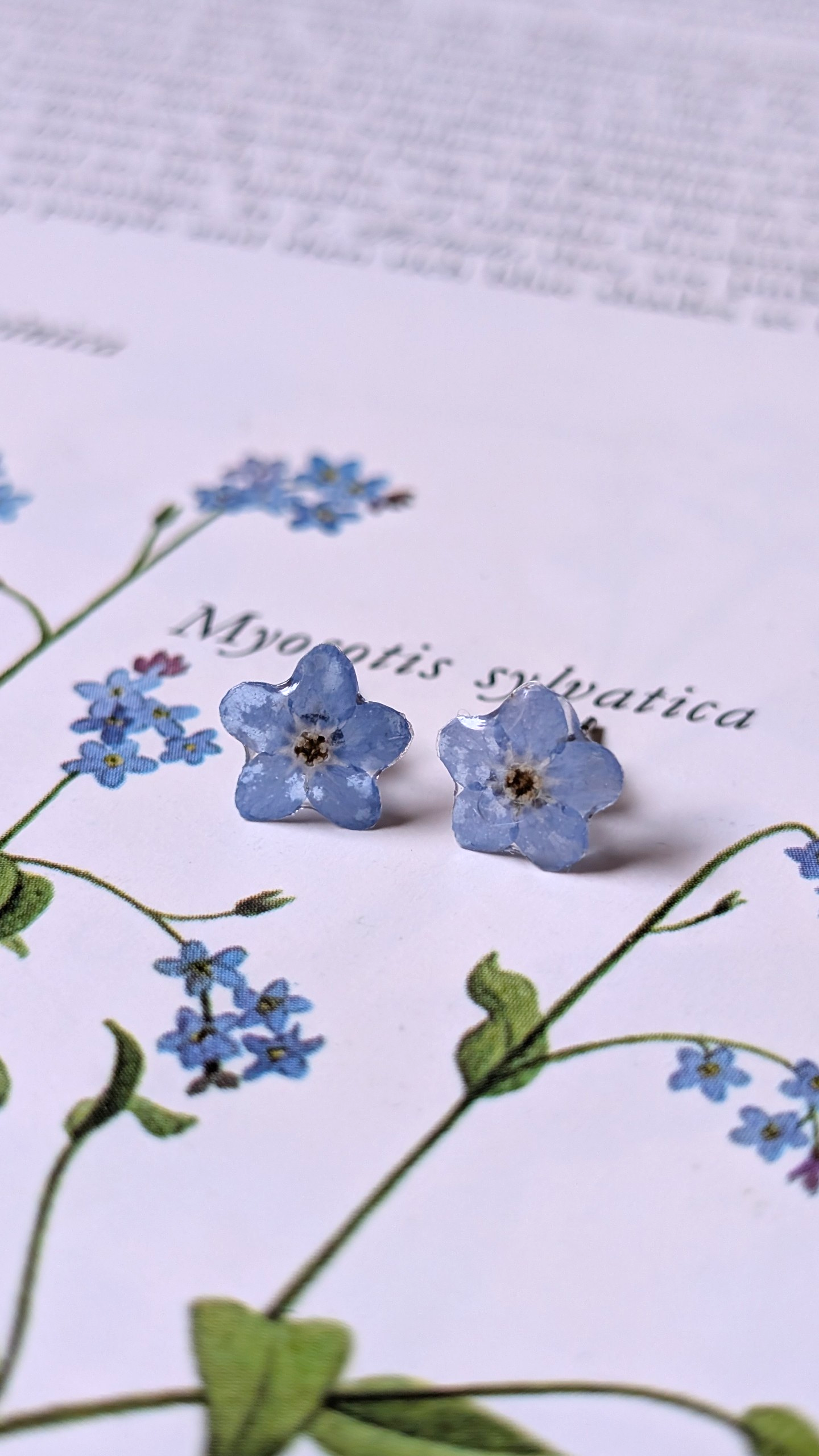Real Forget-me-not Stud Earrings