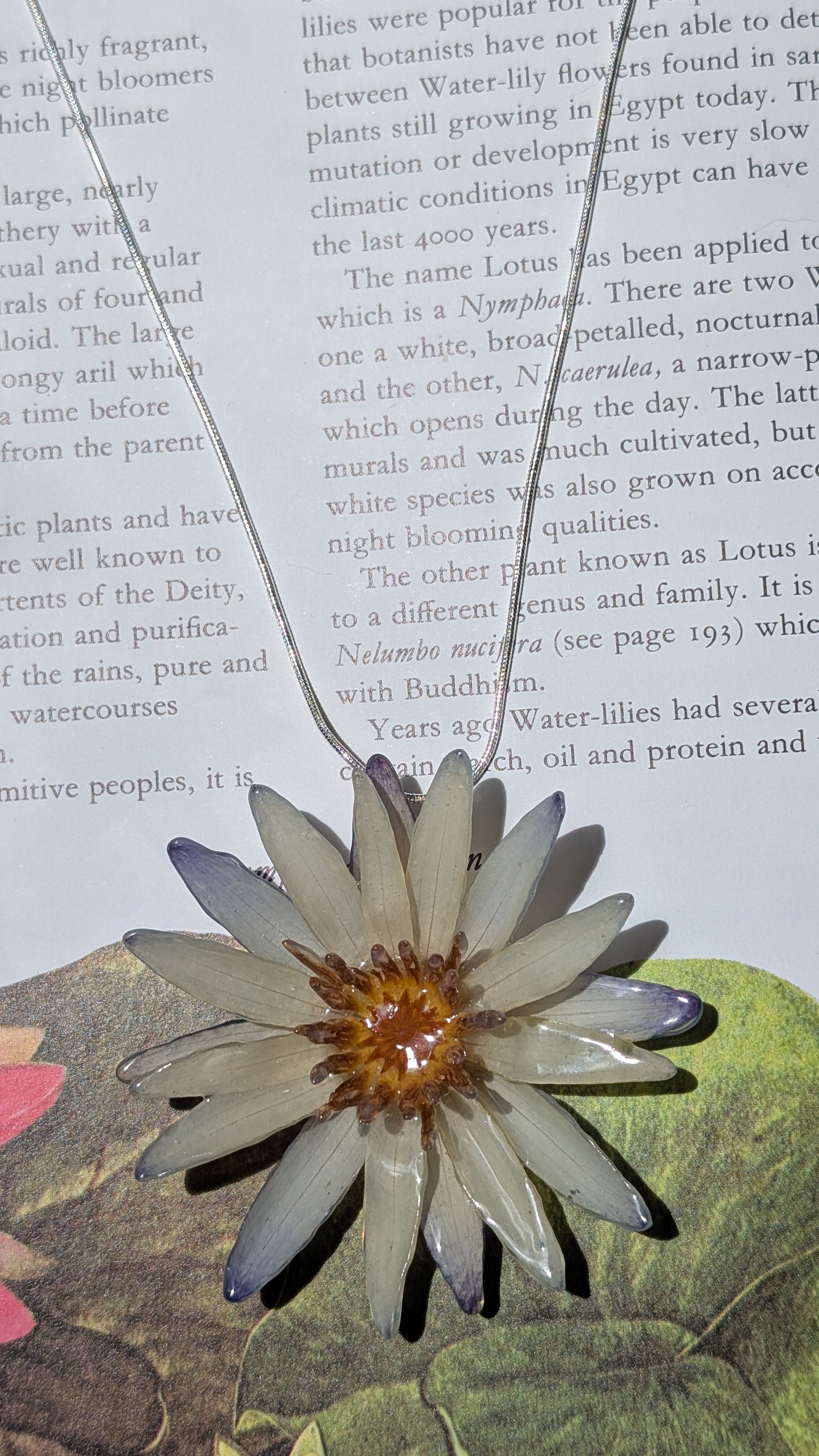 Real Blue Waterlily Pendant