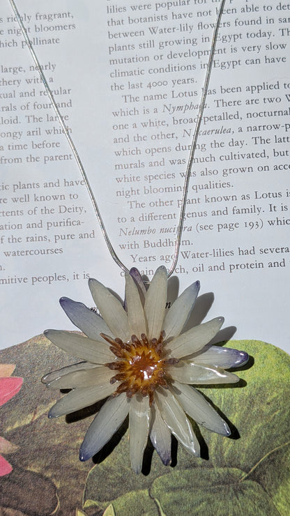 Real Blue Waterlily Pendant
