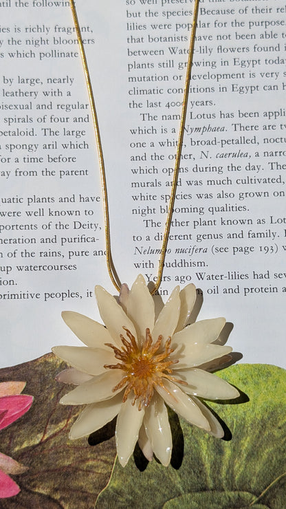 Real Cream Waterlily Pendant
