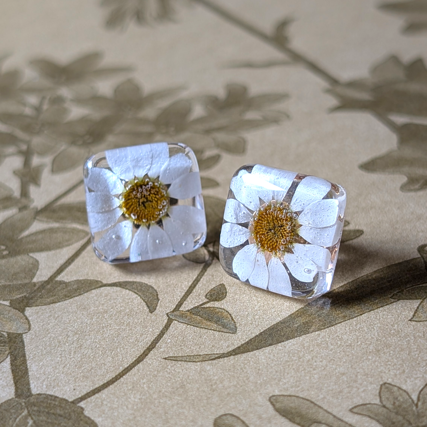 Real Daisy Stud Earrings