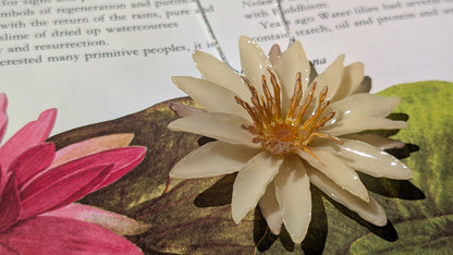 Real Cream Waterlily Pendant